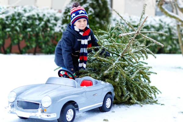 Gezonde glimlachend kind jongetje speelgoedauto met kerstboom rijden. Gelukkig kind in winter mode kleding brengen hakte kerstboom uit besneeuwde forest. Familie, traditie, vakantie. — Stockfoto
