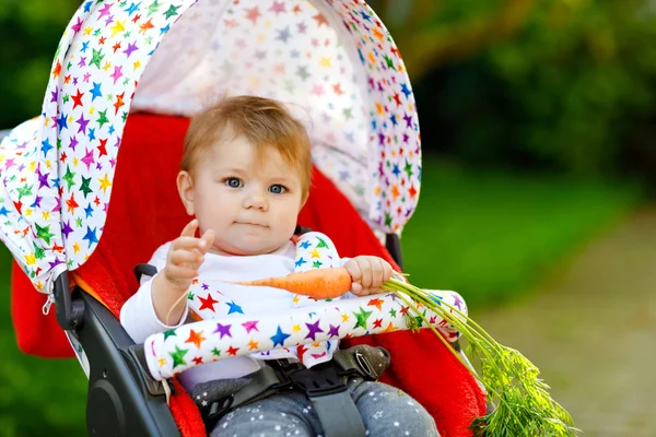 Roztomilá roztomilá holčička drží a jí čerstvou mrkev. Krásné dítě si dává zdravou svačinku. Holčička sedící v kočárku nebo kočárku. Malé dítě 6 měsíců venku, jíst zeleninu v letní den — Stock fotografie