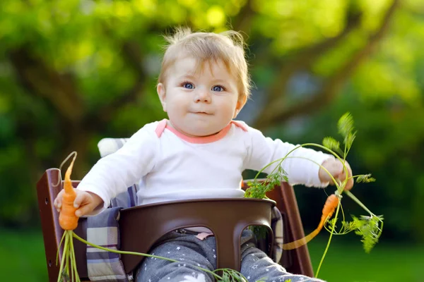 Linda menina adorável segurando e comendo cenoura fresca. Criança amadurecida tendo lanche saudável. Menina sentada em cadeira alta. Criança de 6 meses ao ar livre, comendo legumes no dia de verão — Fotografia de Stock