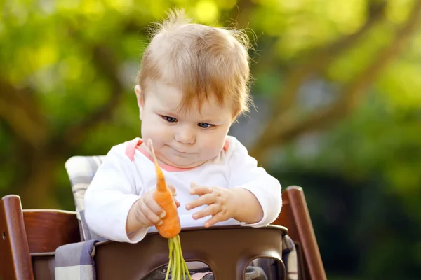 Cute adorable baby girl holding and eating fresh carrot. Beatuiful child having healthy snack. Baby girl sitting in high chair. Little kid of 6 months outdoors, eating vegetables on summer day Stock Picture