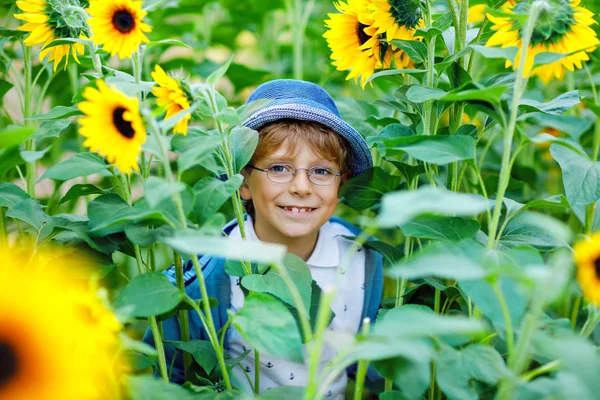 Imádnivaló kis szőke fiú szemüveggel és sapkával a nyári napraforgó pályán a szabadban. Aranyos óvodás gyerek szórakozik meleg nyári estén naplementekor. Gyerekek és természet. — Stock Fotó