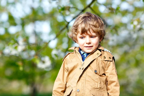 Little kid boy in blooming and flowering apple garden orchard on spring day. Happy child smiling on warm sunny day. Family, holiday, spring concept — Stock Photo, Image