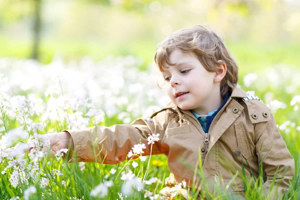 Little kid boy in blooming and flowering apple garden orchard on spring day. Happy child smiling on warm sunny day. Family, holiday, spring concept — Stock Photo, Image