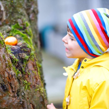 Paskalya 'da yumurta avına çıkan sevimli küçük çocuk. Mutlu çocuk ev bahçesinde renkli yumurtalar arıyor ve buluyor. Soğuk bir günde bahar kıyafetleri giymiş bir çocuk. Eski Hıristiyan ve katolok geleneği.
