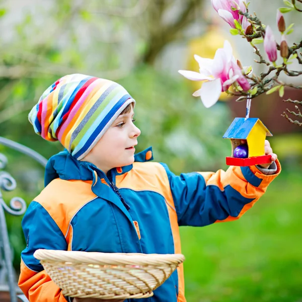 Mignon adorable petit garçon qui fait une chasse aux œufs à Pâques. Enfant heureux à la recherche et de trouver des œufs colorés dans le jardin domestique. Garçon en vêtements de printemps par temps froid. Ancienne tradition chrétienne et catholoc . — Photo