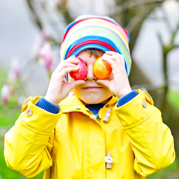 Cute adorable little kid boy making an egg hunt on Easter. Happy child searching and finding colorful eggs in domestic garden. Boy in spring clothes on cold day. Old christian and catholoc tradition. — Stock Photo, Image
