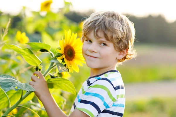 Портрет красивого маленького блондинистого мальчика на летнем подсолнечном поле под открытым небом. Милый ребенок дошкольного возраста веселится теплым летним вечером на закате. Дети и природа — стоковое фото