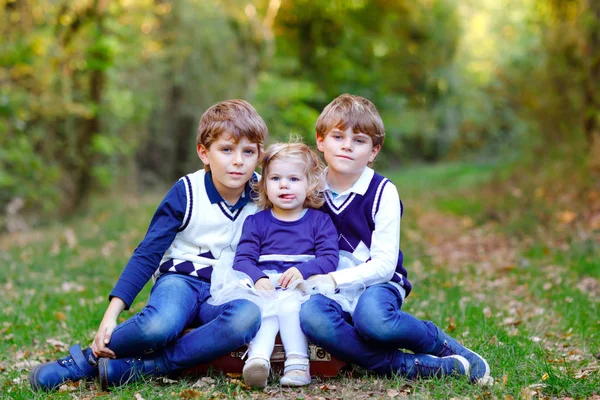 Üç kardeş çocuğunun portresi. İki erkek kardeş erkek kardeş ve küçük tatlı kız kardeş sonbahar ormanında birlikte eğleniyorlar. Mutlu sağlıklı aile oyunları, yürüyüş, doğa üzerinde aktif eğlence — Stok fotoğraf