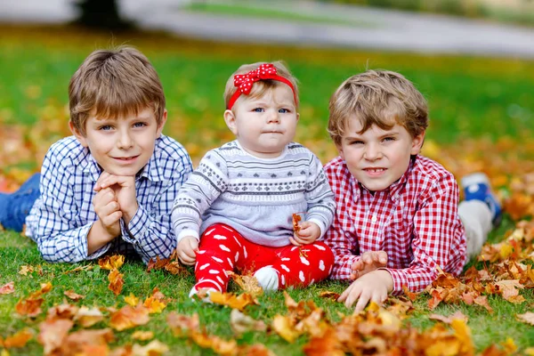 Zwei kleine glückliche Jungen mit neugeborenem Mädchen, süße Schwester. Geschwister auf Gras im Herbstpark mit gelben und roten Ahornblättern. Bindung der Kinder. Familie mit drei Kindern. — Stockfoto