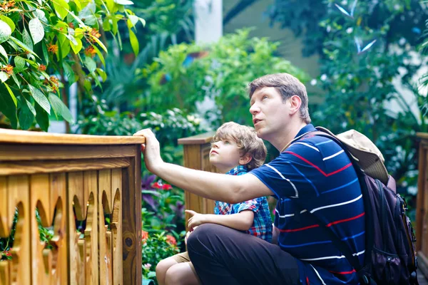 Father and preschool kid boy discovering flowers, plants and butterflies at botanic garden. Family, young man and son interested in biology. Active educational leisure with preschool child in museum — Stock Photo, Image