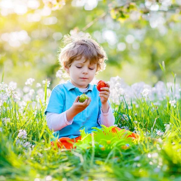 Cute little kid boy with bunny ears having fun with traditional Easter eggs hunt on warm sunny day, outdoors. Celebrating Easter holiday. Toddler finding, colorful eggs in green grass — Stock Photo, Image