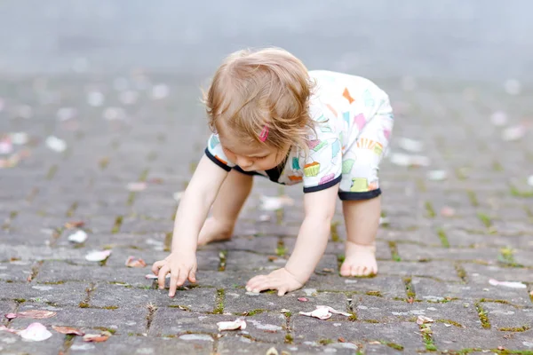 Söt söt liten flicka gör första steg utomhus. Friska glada småbarn lära sig gå. Härlig flicka njuter våren trädgård. — Stockfoto