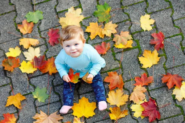 Adorable little baby girl in autumn park on sunny warm october day with oak and maple leaf. Fall foliage. Family outdoor fun in fall. child smiling. Baby celebrating ten months. — Stock Photo, Image