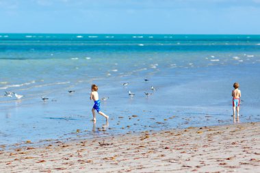 İki küçük çocuklar eğleniyor tropik sahilde kum, dostluk kavramı ile oynarken mutlu arkadaşlarım çocuğu. Martılar avcılık yüzmek pantolon kardeşleri brothes. Key Biscayne, Miami, Florida.