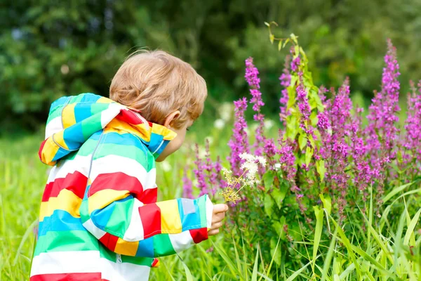 Petit garçon blond avec beaucoup de fleurs sauvages le jour ensoleillé de l'été. Joyeux enfant envoûtant la nature. Enfant avec bouquet de fleurs pour mère . — Photo