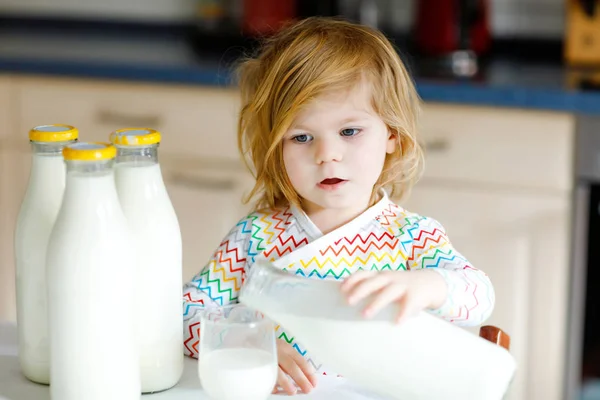 Adorable niña bebiendo leche de vaca para el desayuno. Linda hija con un montón de biberones. Niño sano que tiene la leche como fuente de calcio saludable. Niño en casa o en la guardería por la mañana. — Foto de Stock