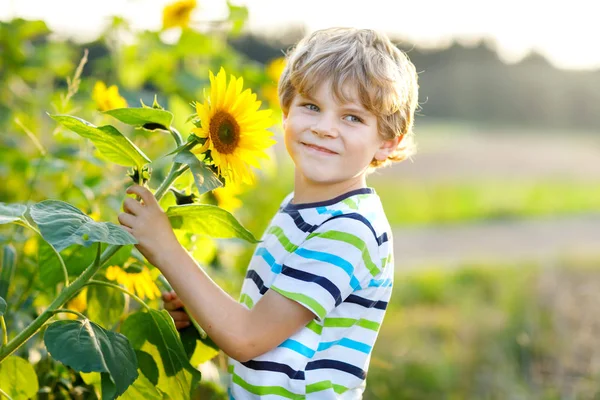 Adorable niño rubio en el campo de girasol de verano al aire libre. Lindo niño preescolar que se divierte en la cálida noche de verano al atardecer. Niños y naturaleza —  Fotos de Stock