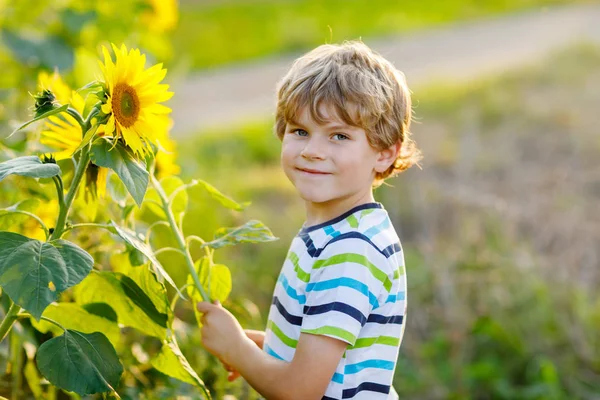 Очаровательный маленький блондин на летнем подсолнушном поле под открытым небом. Милый ребенок дошкольного возраста веселится теплым летним вечером на закате. Дети и природа — стоковое фото