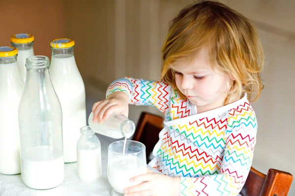 Adorabile bambina che beve latte vaccino per colazione. Carina la figlioletta con tanti biberon. Bambino sano che ha il latte come fonte di calcio sano. Bambino a casa o asilo nido al mattino. — Foto Stock