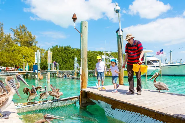 Pai jovem e dois meninos pequenos que alimentam peixes e pelicanos marrons grandes no porto de Islamorada, Florida Keys. Homem e seus filhos, crianças pré-escolares se divertindo com animais de observação — Fotografia de Stock