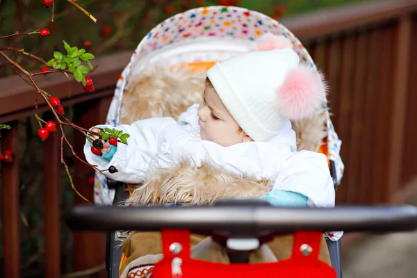 Bayi perempuan cantik yang lucu duduk di kereta bayi atau kereta bayi pada hari musim gugur. Anak yang sehat berjalan-jalan di udara segar dengan pakaian hangat. Bayi dengan pakaian berwarna-warni dan topi dengan gelembung — Stok Foto