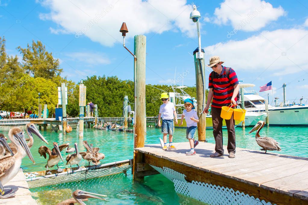Young father and two little kid boys feeding fishes and big brown pelicans in port of Islamorada, Florida Keys. Man and his sons, preschool children having fun with observing animals