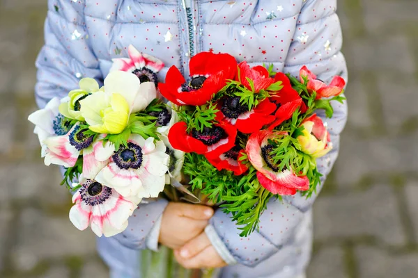 Closeup of little toddler lovely girl hands with red and white ranunculus flowers in spring garden. Close-up of baby holding fresh colorful bouquet as gift for mothers day for mum. — Stock Photo, Image