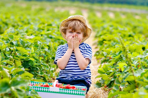 Glücklich entzückende kleine Junge pflücken und essen Erdbeeren auf Bio-Beerenfarm im Sommer, an warmen, sonnigen Tag. Lustiges Kind, das Spaß am Helfen hat. Erdbeerplantage Feld rote Beeren. — Stockfoto