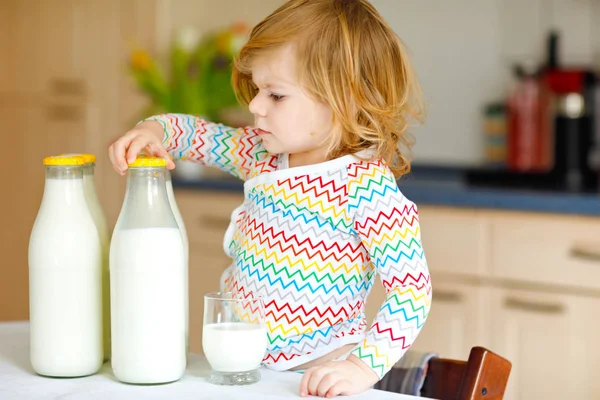 Schattig peutermeisje dat koemelk drinkt als ontbijt. Schattige kleine dochter met veel flessen. Gezond kind dat melk als gezondheidscalciumbron heeft. Kind thuis of in de kinderkamer in de ochtend. — Stockfoto