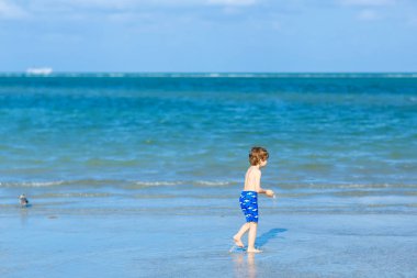 Aktif küçük çocuk Miami sahilinde eğleniyor, Key Biscayne. Sıcak ve güneşli bir günde okyanus kenarında koşan mutlu şirin çocuk. Yüzme pantolonlu sağlıklı bir çocuk martı kuşu avlıyor.