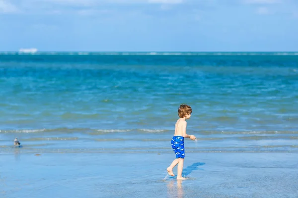 Aktywny chłopiec bawiący się na plaży w Miami, Key Biscayne. Szczęśliwy słodkie dziecko działa w pobliżu oceanu w ciepły słoneczny dzień. Zdrowe dziecko w kąpielówkach polujące na mewy — Zdjęcie stockowe