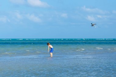 Aktif küçük çocuk Miami sahilinde eğleniyor, Key Biscayne. Sıcak ve güneşli bir günde okyanus kenarında koşan mutlu şirin çocuk. Yüzme pantolonlu sağlıklı bir çocuk martı kuşu avlıyor.
