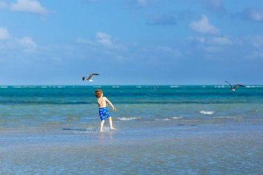 Aktif küçük çocuk Miami sahilinde eğleniyor, Key Biscayne. Sıcak ve güneşli bir günde okyanus kenarında koşan mutlu şirin çocuk. Yüzme pantolonlu sağlıklı bir çocuk martı kuşu avlıyor.
