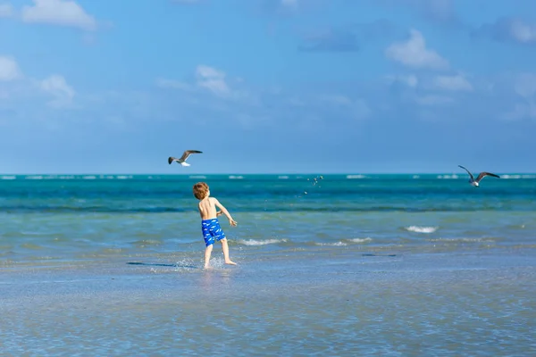 Niño activo divirtiéndose en la playa de Miami, Key Biscayne. Feliz niño lindo corriendo cerca del océano en un día cálido y soleado. Niño sano en pantalones de baño cazando aves gaviotas — Foto de Stock