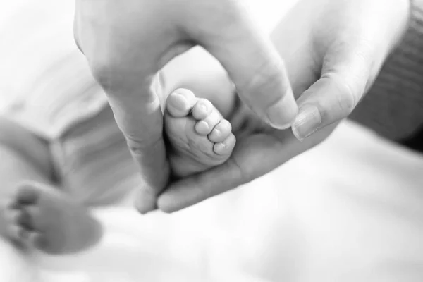 Father or mother holding foot of newborn baby — Stock Photo, Image