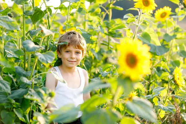 Sevimli küçük sarışın çocuk çocuk yaz ayçiçeği alan açık havada üzerinde — Stok fotoğraf