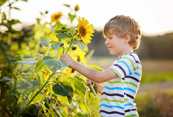 Anak kecil pirang yang manis di musim panas lapangan bunga matahari di luar — Stok Foto