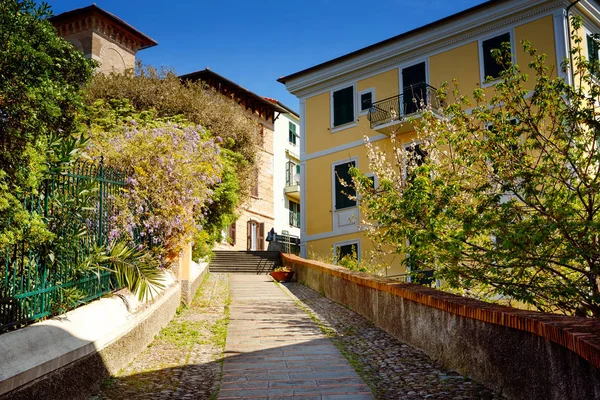 Barvité domy v italské oblasti Liguria. Úžasná vesnice Zoagli, Cinque Terre a Portofino. Nádherné úžasné italské město na riviéře Středozemního moře — Stock fotografie