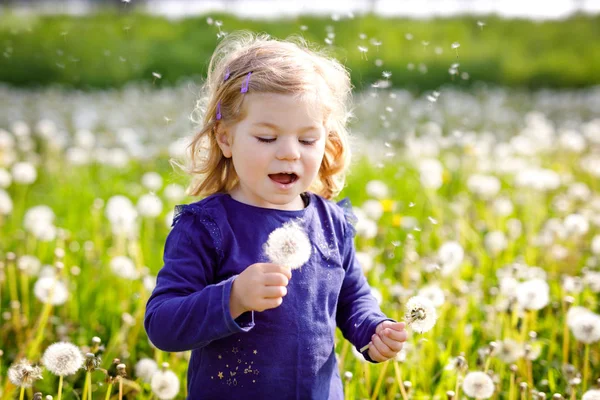 Adorable linda niña soplando en una flor de diente de león en la naturaleza en el verano. Feliz niño hermoso niño sano con blowball, divirtiéndose. Luz de puesta de sol brillante, niño activo. — Foto de Stock