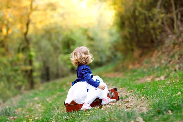 Carina la bambina seduta sulla valigia nel parco autunnale. Buon bambino sano godendo di camminare con i genitori. Soleggiato calda giornata autunnale con bambino. Tempo libero attivo e attività con i bambini nella natura . — Foto Stock