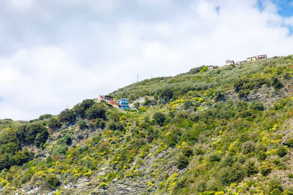 Liguria, güneşli sıcak günde renkli evler ile Rivierası Italya kıyı şeridi. Monterosso al Mare, Vernazza, Corniglia, Manarola ve Riomaggiore, Cinque Terre Ulusal Parkı UNESCO Dünya Mirası — Stok fotoğraf