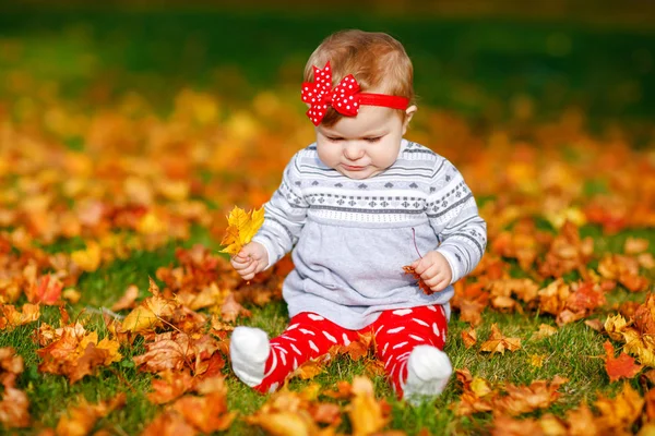 Adorável menina no parque de outono no dia de outubro quente ensolarado com carvalho e folha de bordo. Folhagem de queda. Família diversão ao ar livre no outono. criança sorrindo. — Fotografia de Stock
