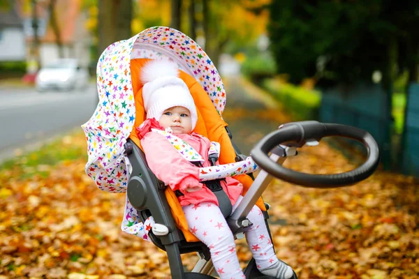 Aranyos kis gyönyörű kislány ül a babakocsiban, vagy babakocsi ősszel. Boldog egészséges gyermek megy sétálni a friss levegőn meleg ruhákban. Baba sárga őszi juharfák színes ruhákban — Stock Fotó