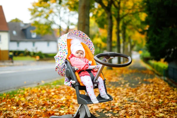 Bonito pequena menina bonita sentada no carrinho de bebê ou carrinho no dia de outono. Criança sã feliz que vai para um passeio no ar puro na roupa quente. Bebê com árvores de bordo de queda amarela em roupas coloridas — Fotografia de Stock
