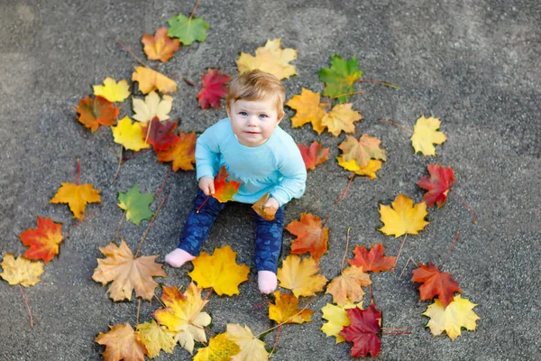 Bedårande liten flicka i höst park på solig varm oktoberdag med ek och lönn löv. Falla lövverk. Familjen utomhus kul i höst. barnet ler. Baby firar tio månader. — Stockfoto