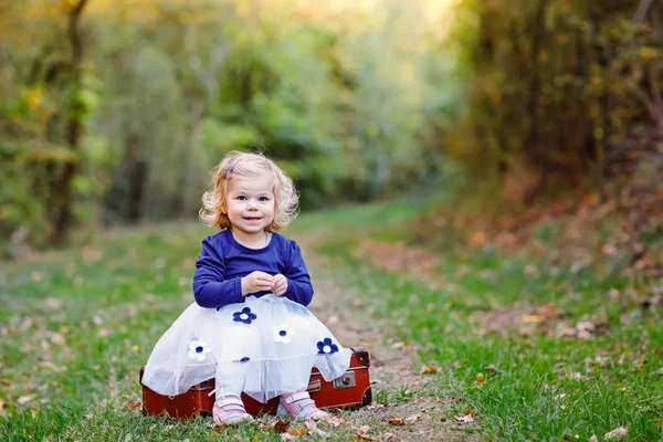 Menina da criança bonito sentado em mala no parque de outono. Bebê saudável feliz gostando de andar com os pais. Dia de outono quente ensolarado com criança. Lazer ativo e atividade com crianças na natureza . — Fotografia de Stock