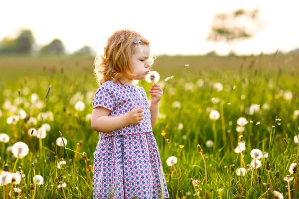 Adorable petite fille mignonne soufflant sur une fleur de pissenlit sur la nature en été. Heureux enfant en bas âge en bonne santé belle avec blowball, avoir du plaisir. Lumière du coucher du soleil, enfant actif. — Photo