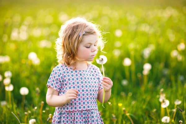 Adorável linda menina do bebê soprando em uma flor de dente de leão na natureza no verão. Criança bonita saudável feliz com bola de sopro, se divertindo. Luz brilhante do pôr-do-sol, miúdo activo. — Fotografia de Stock