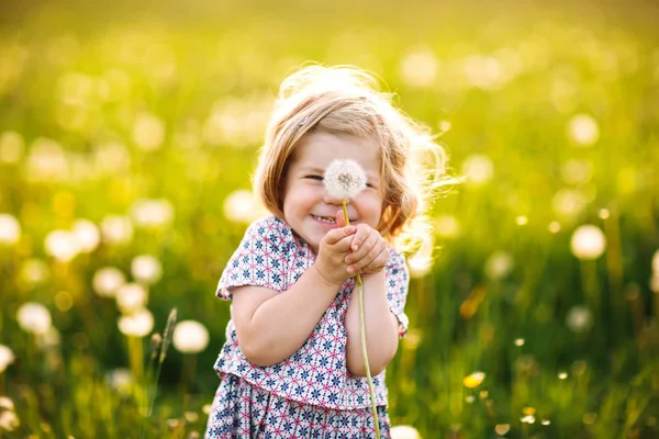 Adorable linda niña soplando en una flor de diente de león en la naturaleza en el verano. Feliz niño hermoso niño sano con blowball, divirtiéndose. Luz de puesta de sol brillante, niño activo. — Foto de Stock