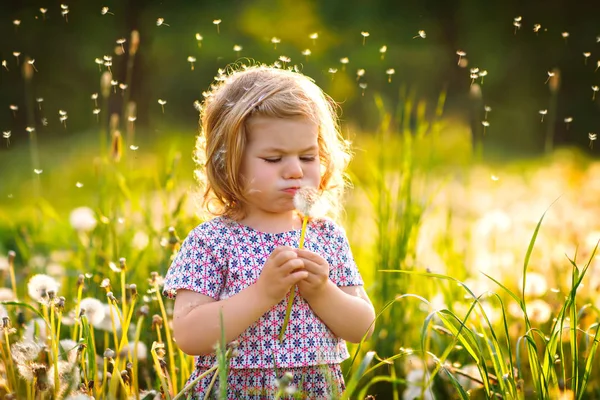 Adorable linda niña soplando en una flor de diente de león en la naturaleza en el verano. Feliz niño hermoso niño sano con blowball, divirtiéndose. Luz de puesta de sol brillante, niño activo. — Foto de Stock